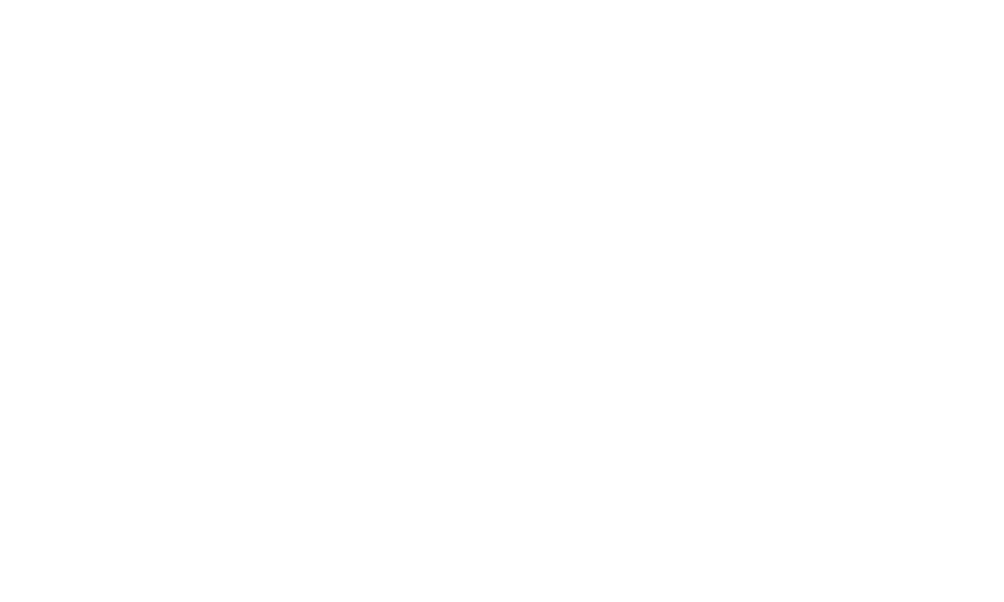 Vincini logo